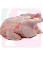Whole Broiler Chicken with Skin (Clean) 