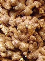 Deshi Adha / Deshi Ginger Deshi Ginger, ???? ???, Bangladeshi Ginger, ????????? ???