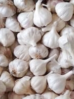 Deshi rosun / Desi Garlic 