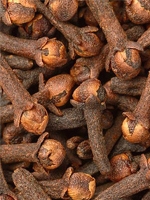 Lobonggo / Clove 