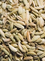 Mouri / Fennel 