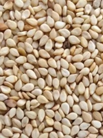 shada till / White Sesame 