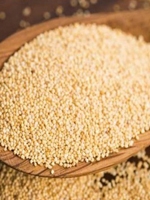 Shada postodana / White Poppy Seed 