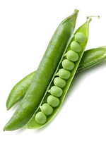 Motor ( kacha) / Green Pea 