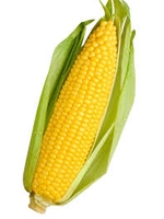 Vutta / Corn 