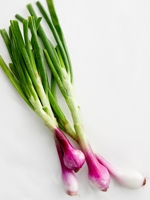 Piyaj pata / Onion Leaf 