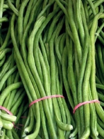 Borboti / Cowpea 