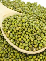 Green mug dal 