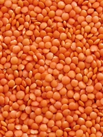 Masoor Dal (Desi) 