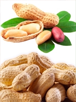 Whole Raw Peanuts 