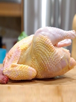 Whole Layer Chicken with Skin (Clean) 