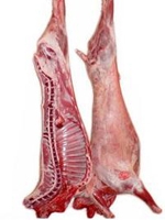 Mutton / Goat Meat 