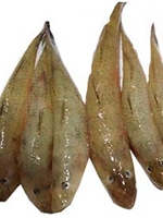 Bele fish 