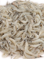 Chingri Fish 