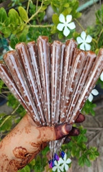 Arnim Organic Nail Mehedi Cone 12 Pc / 180gms Organic Nail Mehedi Cone