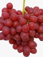  Red Grapes 