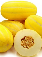 Melon 