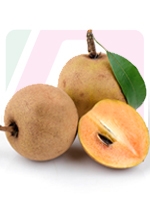 Sapodilla 