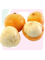  Lotkon 
