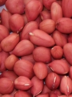 Premium Peanuts 