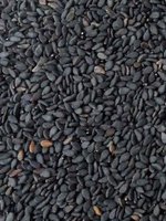 First slide